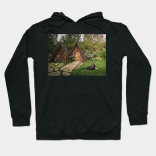 Loyal guardian dog Hoodie